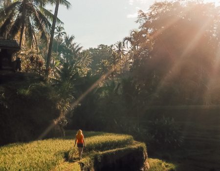 Most+Instagrammable+spots+in+Bali_+Tegalalang+Rice+Terrace